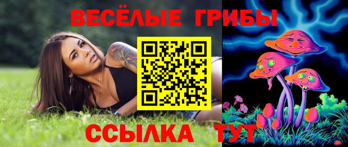 Псилоцибиновые грибы Psilocybine cubensis  Вход с VPN  Чехов 