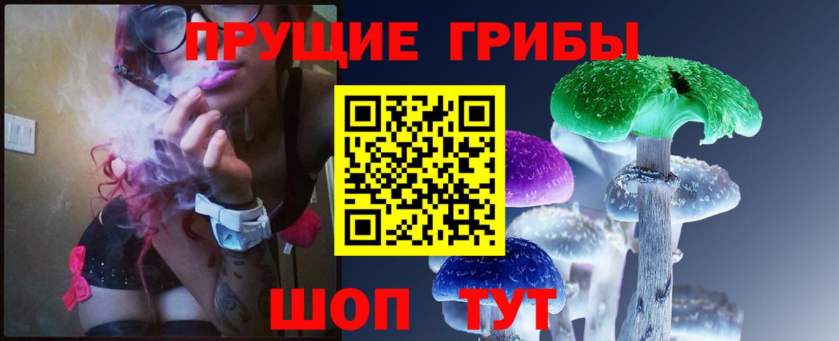 Псилоцибиновые грибы Cubensis Чехов